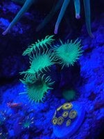 IMG_1488.jpeg