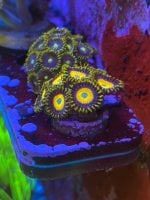 IMG_3986.jpeg