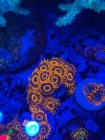 IMG_9899.jpeg
