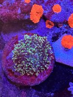 IMG_8981.jpeg
