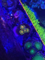 IMG_0973.jpeg