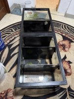IMG_2396.jpeg