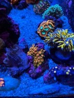 IMG_9161.jpeg
