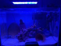 IMG_6320.jpeg