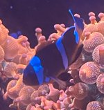 IMG_6188.jpeg
