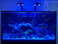IMG_4552.jpeg