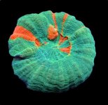 Screenshot 2025-05-15 105644.jpg Screenshot 2025-05-15 105644.jpg