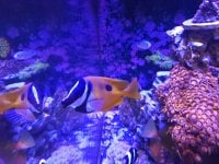 20250516_153657.jpg