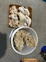IMG_0449.jpeg