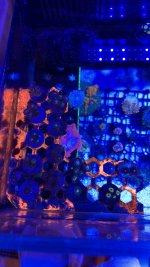 IMG_2340.jpeg