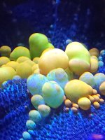 20240515_182137.jpg
