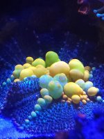 20240515_182116.jpg