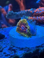 IMG_6432.jpeg