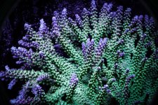 DSC02983.jpg DSC02983.jpg