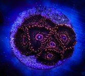 DSC02990.jpg DSC02990.jpg