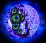 DSC02991.jpg DSC02991.jpg