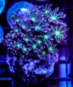 DSC02992.jpg DSC02992.jpg