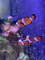 IMG_5702.jpeg