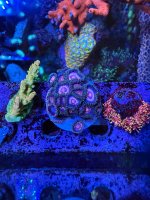IMG_6447.jpeg