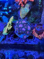IMG_6443.jpeg