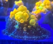 IMG_2464.jpeg
