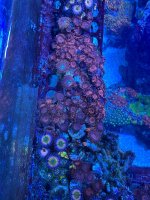 IMG_6616.jpeg