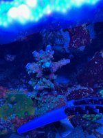 IMG_6618.jpeg