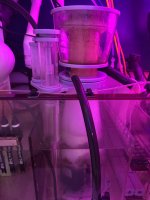 IMG_2832.jpeg