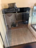 IMG_5098.jpeg