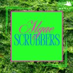 Algae Scubbers.jpg