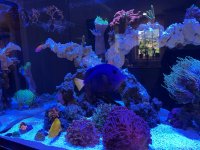 IMG_4593.jpeg