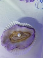 IMG_7377.jpeg