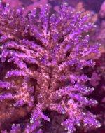 IMG_7565.jpeg