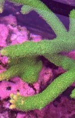IMG_7566.jpeg
