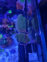 IMG_6243.jpg