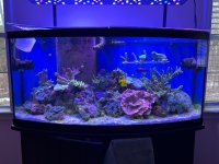 IMG_1656.jpeg