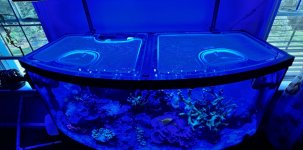 IMG_2886.jpeg