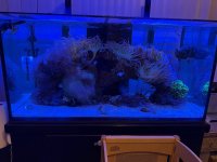 IMG_1293.jpeg