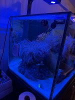 IMG_1296.jpeg