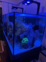 IMG_1295.jpeg