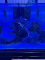 IMG_0723.jpeg