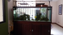 112 Gallon (5).jpg