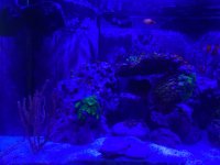 70 Gallon (3).jpeg