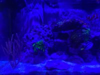 70 Gallon (4).jpeg