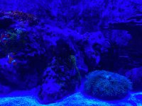 70 Gallon (8).jpeg