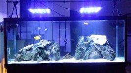 112 Gallon (1).jpg