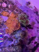 IMG_2569.jpeg
