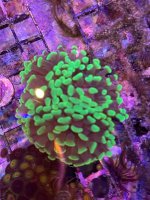 IMG_2570.jpeg