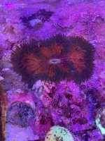 IMG_2573.jpeg