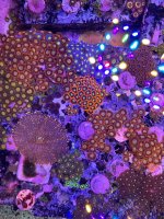 IMG_2574.jpeg